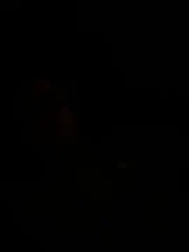 WIDBIGWHITECOCK webcam