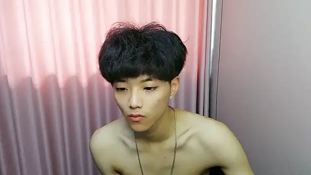 wssoo11 webcam