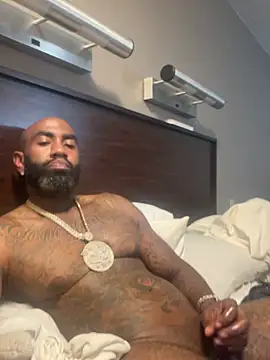 QHefner52 webcam