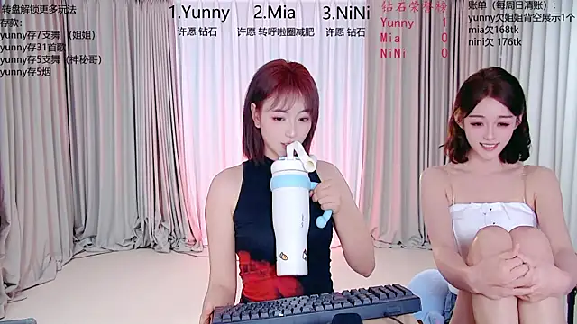 MiNi-U webcam