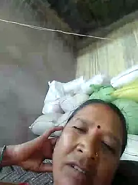 Loomaraj webcam