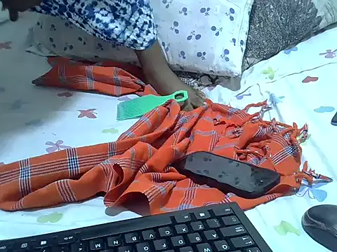 verl1 webcam