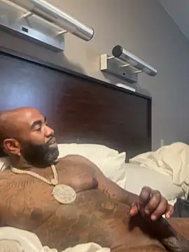 QHefner52 webcam