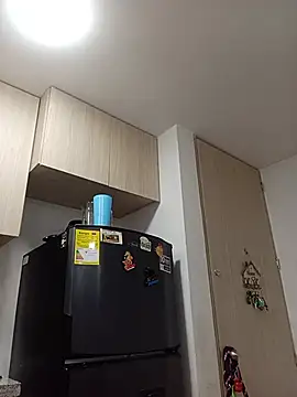 Ary- webcam