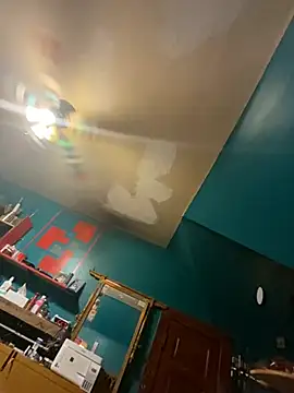 charactrzero webcam