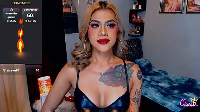StellaStrong30 webcam