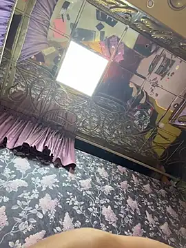NinaVerse webcam