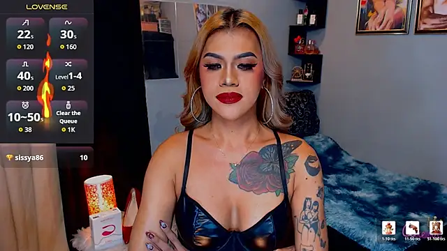 StellaStrong30 webcam
