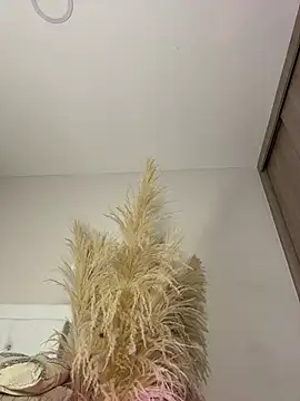 Celeste_Amber webcam