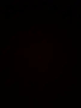 Bo9rma webcam