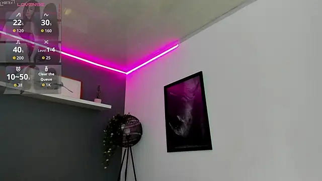 Abbyy_stone webcam