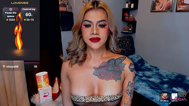 StellaStrong30 webcam