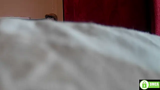 StarElii webcam