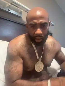 QHefner52 webcam