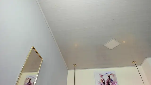 ayshel__ webcam