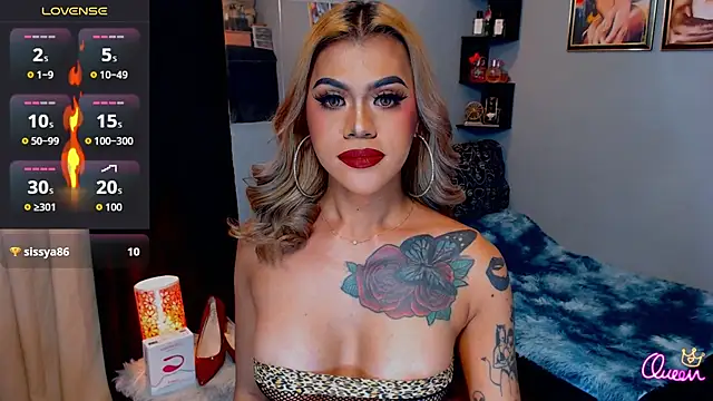 StellaStrong30 webcam