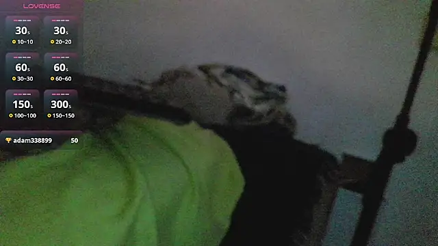 canarito18 webcam