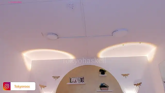 TokyoHaskel webcam