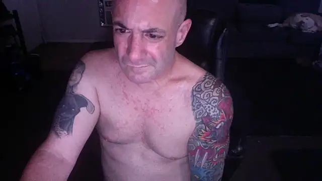 palidin1 webcam
