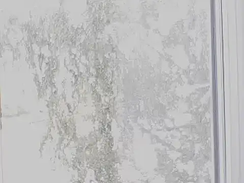 utoopia777 webcam