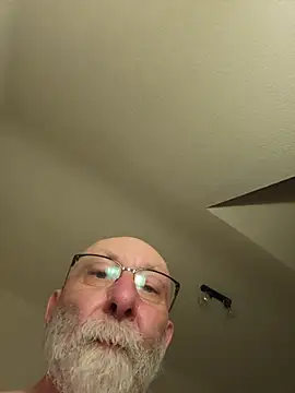 briochin webcam