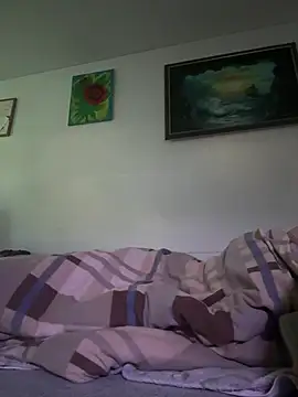Toyjungee webcam