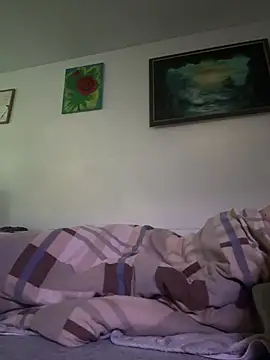 Toyjungee webcam