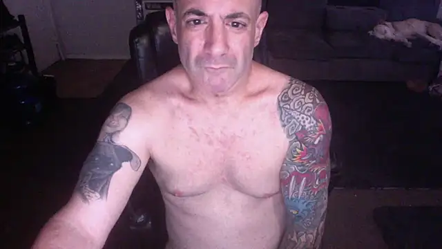 palidin1