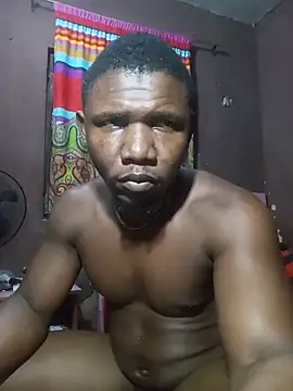 CDN2283 webcam
