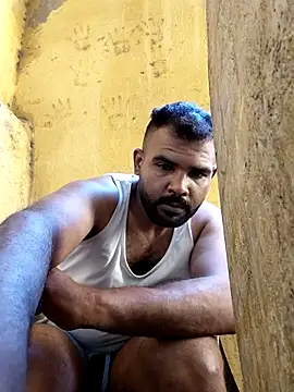 Lion_meis webcam