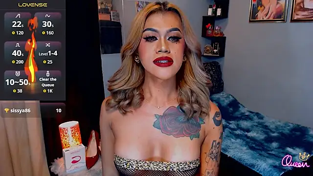 StellaStrong30 webcam
