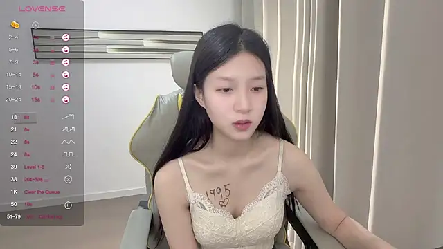 yy-1314 webcam