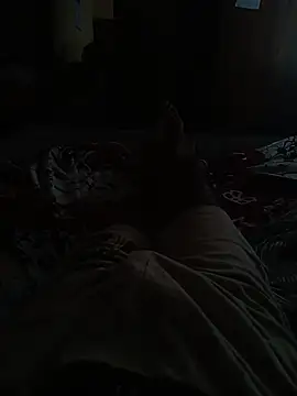 sheshbo webcam