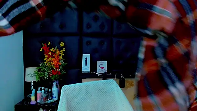 Cloelombard webcam