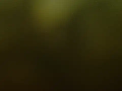 Baby_rose18 webcam