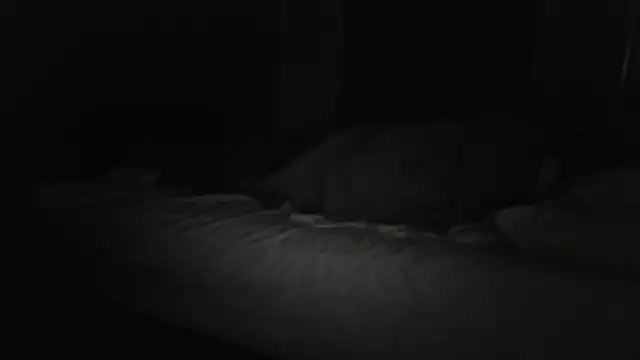 The_Real_aDDix269 webcam