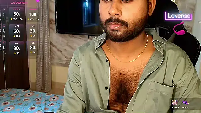 SilverShade3 webcam