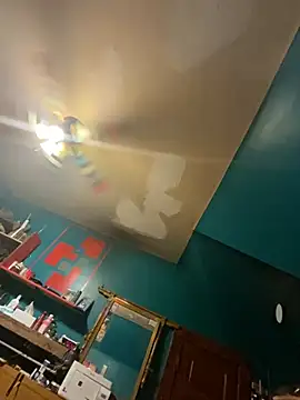 charactrzero webcam