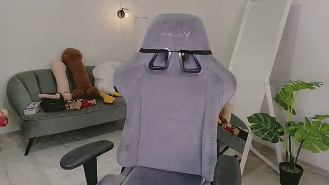 Mira_Falls webcam