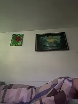 Toyjungee webcam