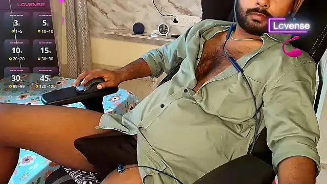 SilverShade3 webcam