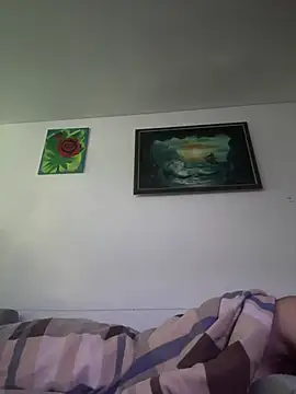 Toyjungee webcam