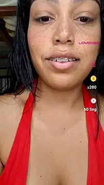 Putaalexa webcam