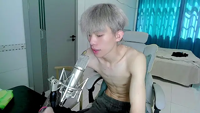 KPL-11 webcam