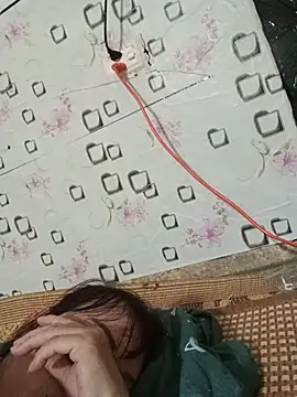 Sana-vn webcam