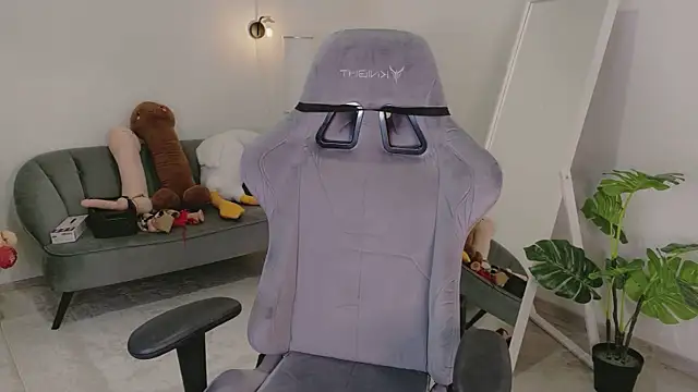 Mira_Falls webcam