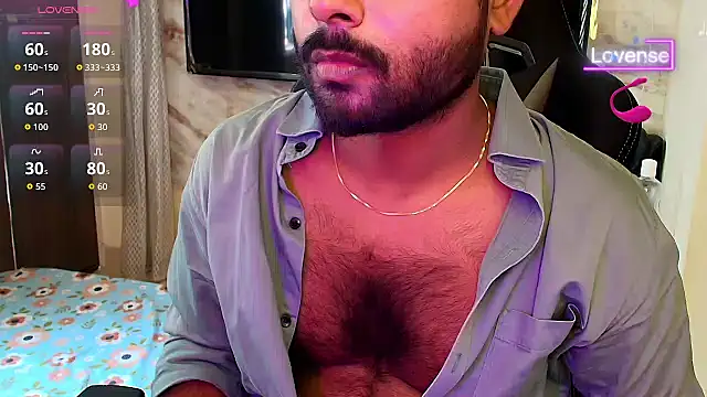 SilverShade3 webcam