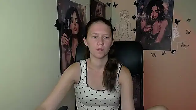StellaCRL webcam