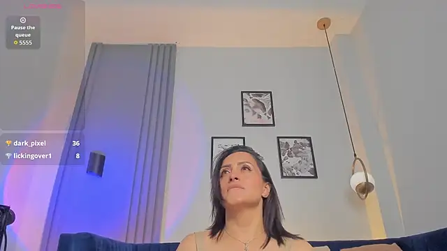 evazul webcam
