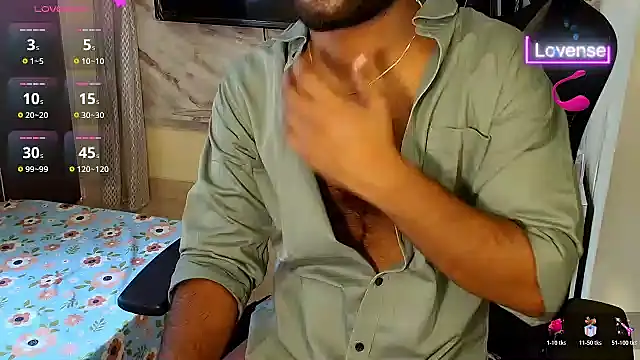 SilverShade3 webcam